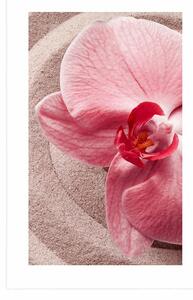 Plagát s paspartou morský piesok a ružová orchidea