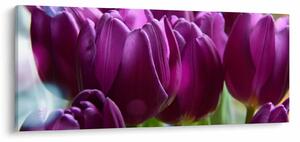 Obraz tulipánov (120x50 cm)