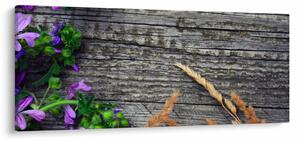 Obraz - lúčne kvety (120x50 cm)