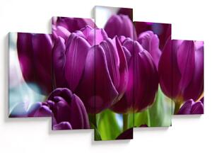 Obraz tulipánov (150x105 cm)