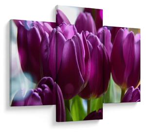 Obraz tulipánov (90x60 cm)