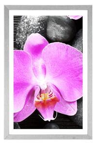 Plagát s paspartou nádherná orchidea a kamene - 20x30 silver
