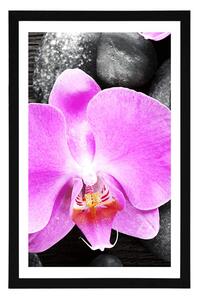 Plagát s paspartou nádherná orchidea a kamene - 20x30 silver