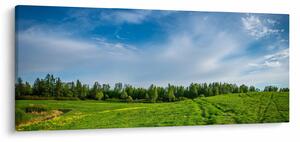 Obraz lúky (120x50 cm)