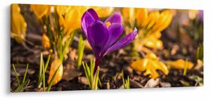 Obraz fialovej kvetiny (120x50 cm)