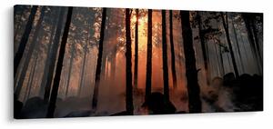 Obraz temného lesa (120x50 cm)