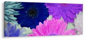 Obraz farebných kvetín (120x50 cm)