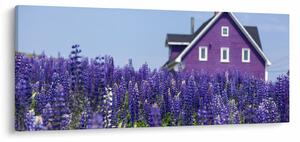 Obraz levanduľového poľa (120x50 cm)