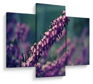 Obraz fialovej kvetiny (90x60 cm)