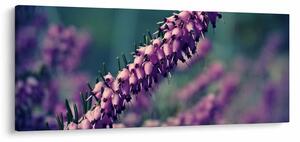 Obraz fialovej kvetiny (120x50 cm)