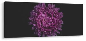 Obraz fialovej kvetiny (120x50 cm)