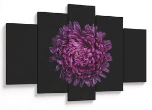 Obraz fialovej kvetiny (150x105 cm)