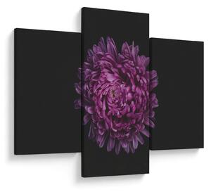 Obraz fialovej kvetiny (90x60 cm)