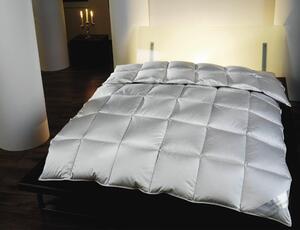 KAZETOVÁ PRIKRÝVKA, 200/220 cm, perie, páperie Sleeptex - Prikrývky & vankúše