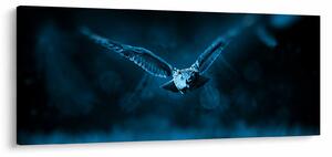 Obraz letiacej sovy (120x50 cm)