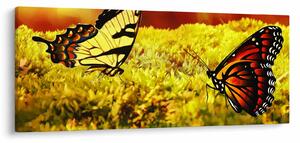 Obraz motýľov (120x50 cm)
