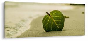 Obraz listu v piesku (120x50 cm)