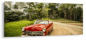 Obraz - auto veterán v prírode (120x50 cm)