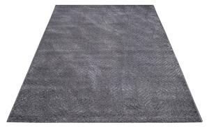 Dekorstudio Jednofarebný koberec FANCY 904 - sivý Rozmer koberca: 120x160cm