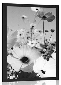 Plagát lúka jarných kvetov v čiernobielom prevedení