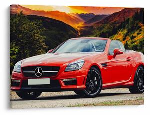 Obraz - červený Mercedes (70x50 cm)