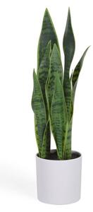 Umelá rastlina (výška 55 cm) Sansevieria – Kave Home