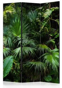 Paraván - Slnečná džungľa 135x172