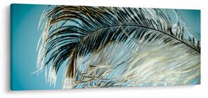 Obraz pierka (120x50 cm)