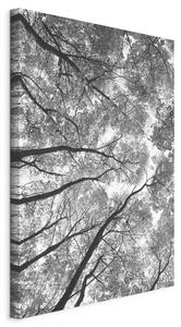 OBRAZ NA PLÁTNE, krajina a príroda, stromy, 40/60/1,2 cm artgeist - Online Only bytové doplnky, Online Only