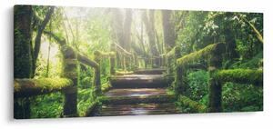 Obraz - drevené schody v lese (120x50 cm)