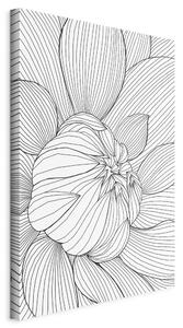 OBRAZ NA PLÁTNE, abstraktné, kvety, 40/60/1,2 cm artgeist - Online Only bytové doplnky, Online Only