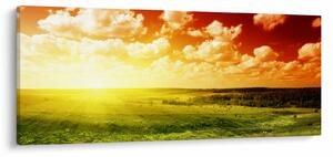 Obraz letnej lúky (120x50 cm)