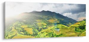 Obraz plantáže (120x50 cm)