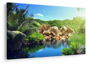 Obraz jazera v Seychelskej džungli (90x60 cm)