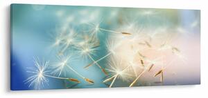 Obraz - šťastia (120x50 cm)