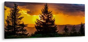 Obraz - ihličnany (120x50 cm)