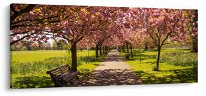 Obraz - sad čerešní (120x50 cm)