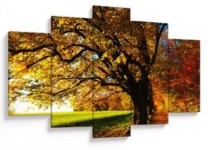 Obraz jesene (150x105 cm)