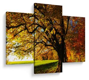 Obraz jesene (90x60 cm)