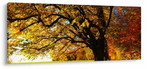 Obraz jesenného stromu (120x50 cm)