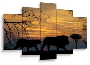 Obraz Safari (150x105 cm)