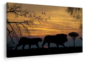 Obraz Safari (90x60 cm)