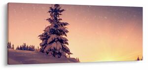 Obraz zasneženého stromu na lúke (120x50 cm)
