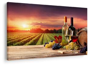 Obraz vinice s vínom (90x60 cm)
