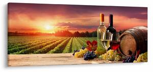 Obraz vinice s vínom (120x50 cm)