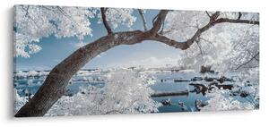 Obraz zasneženého stromu pri vode (120x50 cm)