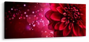 Obraz červené kvety (120x50 cm)