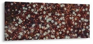 Obraz kvetu Nezábudky lesnej (120x50 cm)