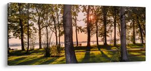 Obraz stromov pri jazere (120x50 cm)