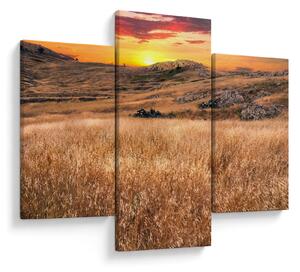 Obraz pole (90x60 cm)